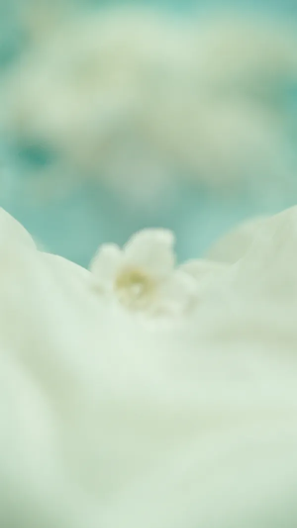 Invitație digitală de botez temă delicată